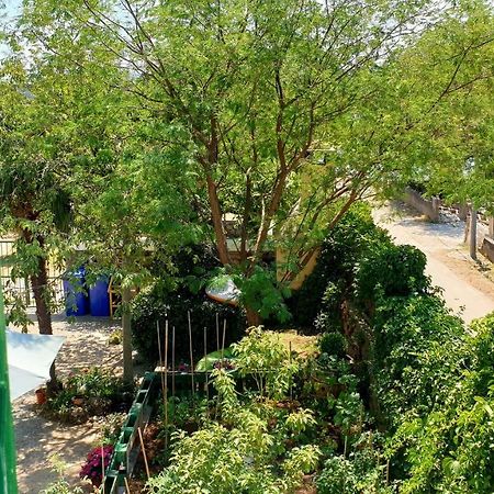 Apartmani Paron Sime Seline Dış mekan fotoğraf