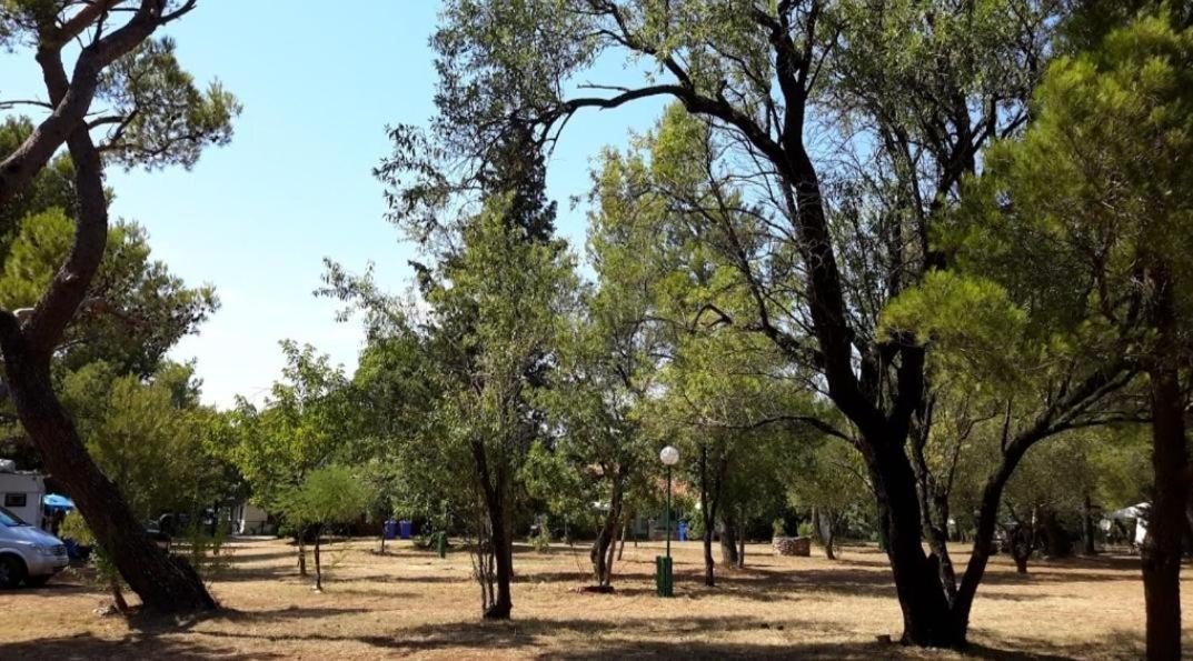 Apartmani Paron Sime Seline Dış mekan fotoğraf
