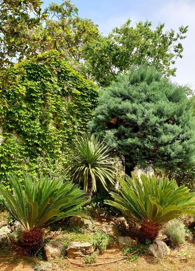 Apartmani Paron Sime Seline Dış mekan fotoğraf