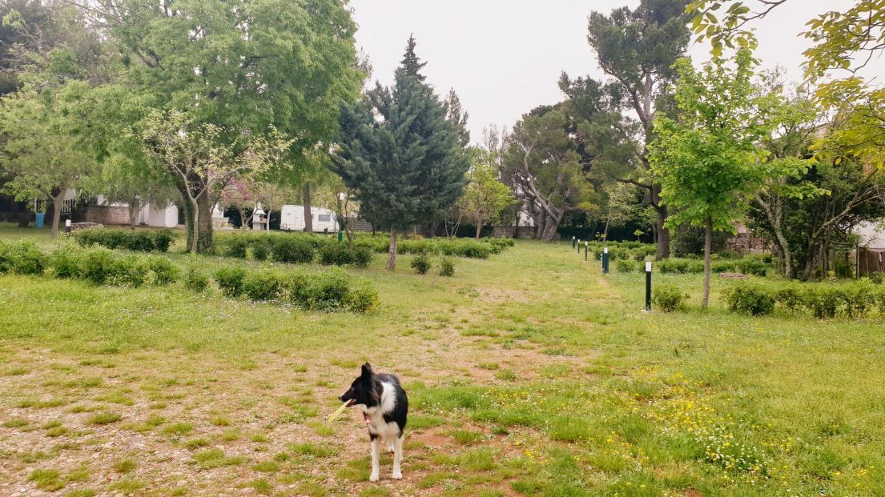 Apartmani Paron Sime Seline Dış mekan fotoğraf